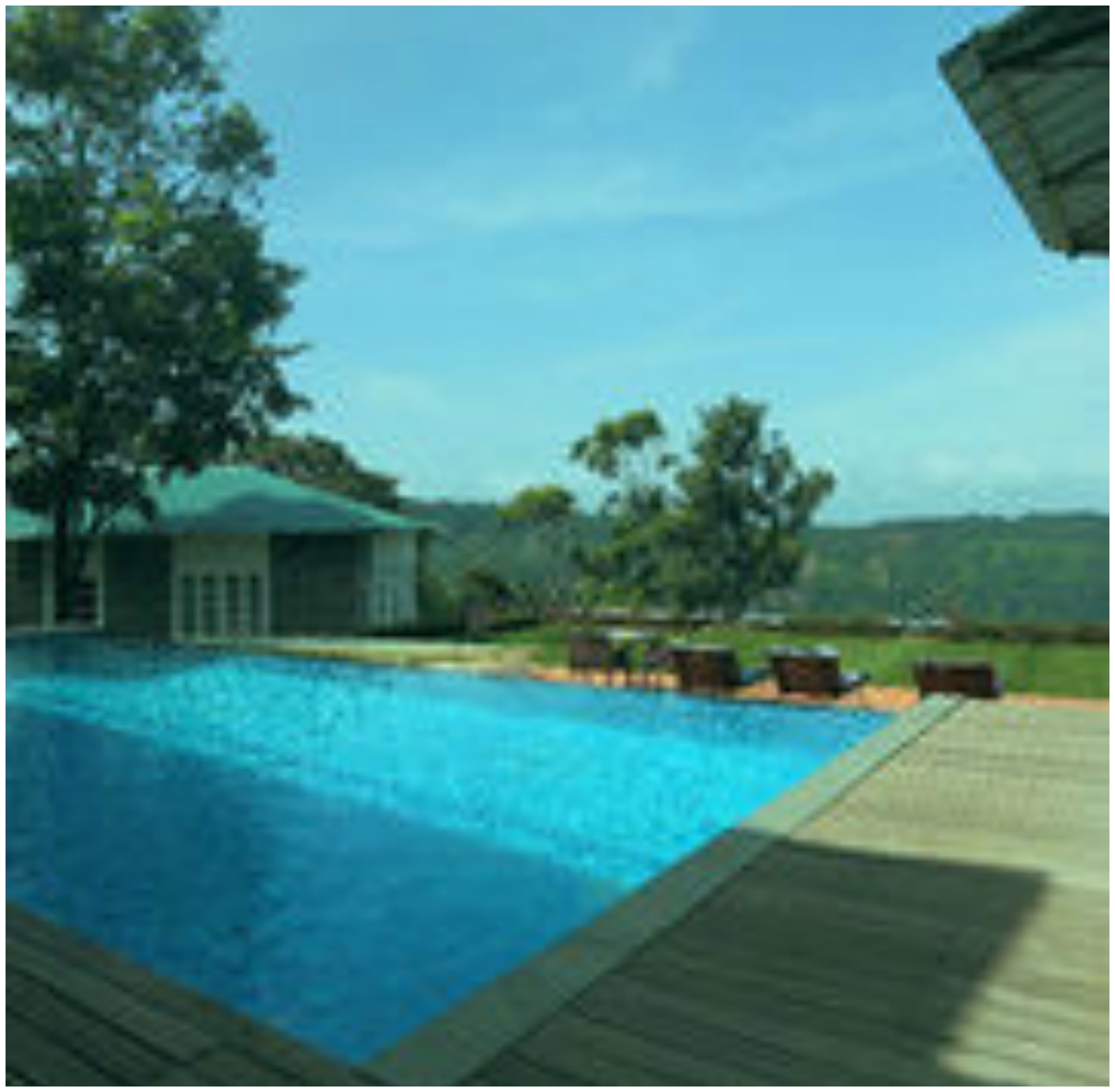 Une piscine avec une terrasse en bois, entourée de verdure et d’une maison.