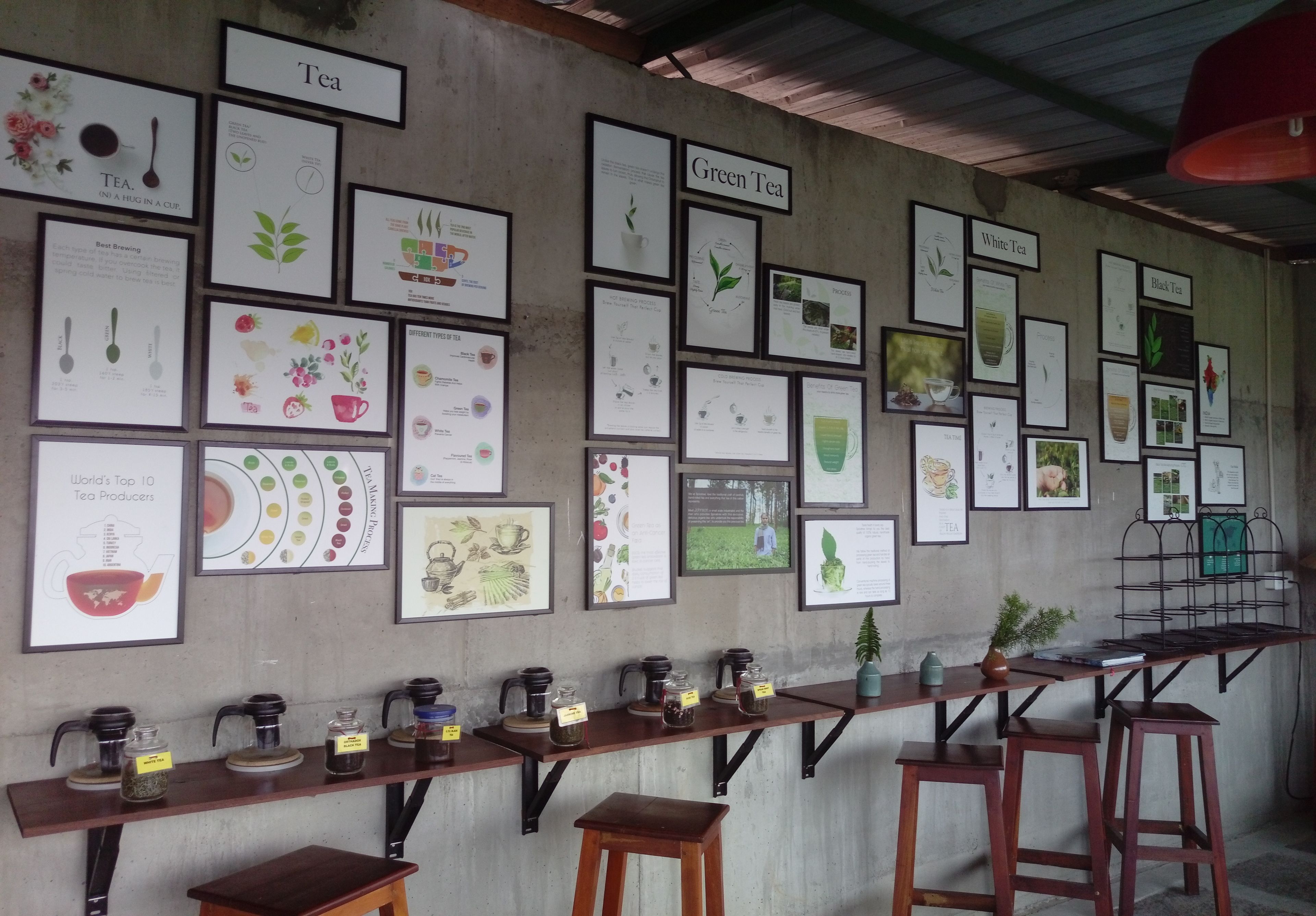 Una zona de bar con una barra alargada que exhibe diferentes tipos de té y una pared decorada con carteles informativos enmarcados sobre el té.