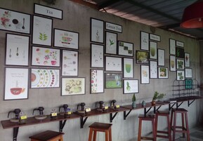 Una zona de bar con una barra alargada que exhibe diferentes tipos de té y una pared decorada con carteles informativos enmarcados sobre el té.