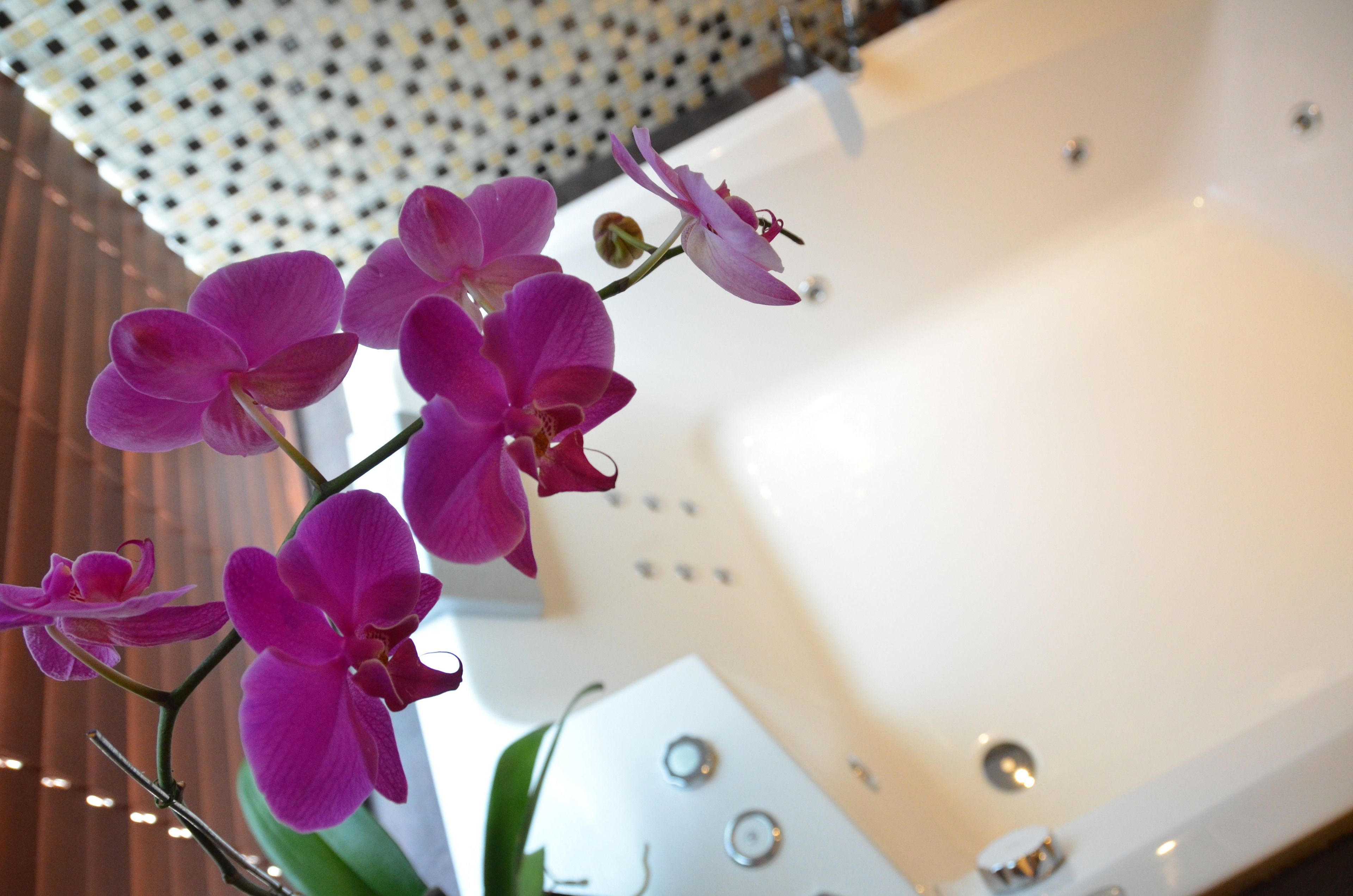 A bathroom with a white bathtub, a green plant, and a ceiling with a perforated pattern.