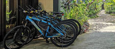 A row of blue bicycles parked outside a building with a concrete path and greenery.