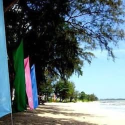 Trên bãi biển, câu cá