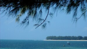 Unclassified image, 3 of 38, button - Driftwood Beach Club (Malindi)