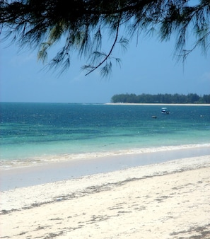 Private beach, sun loungers, beach umbrellas, beach towels - Driftwood Beach Club (Malindi)