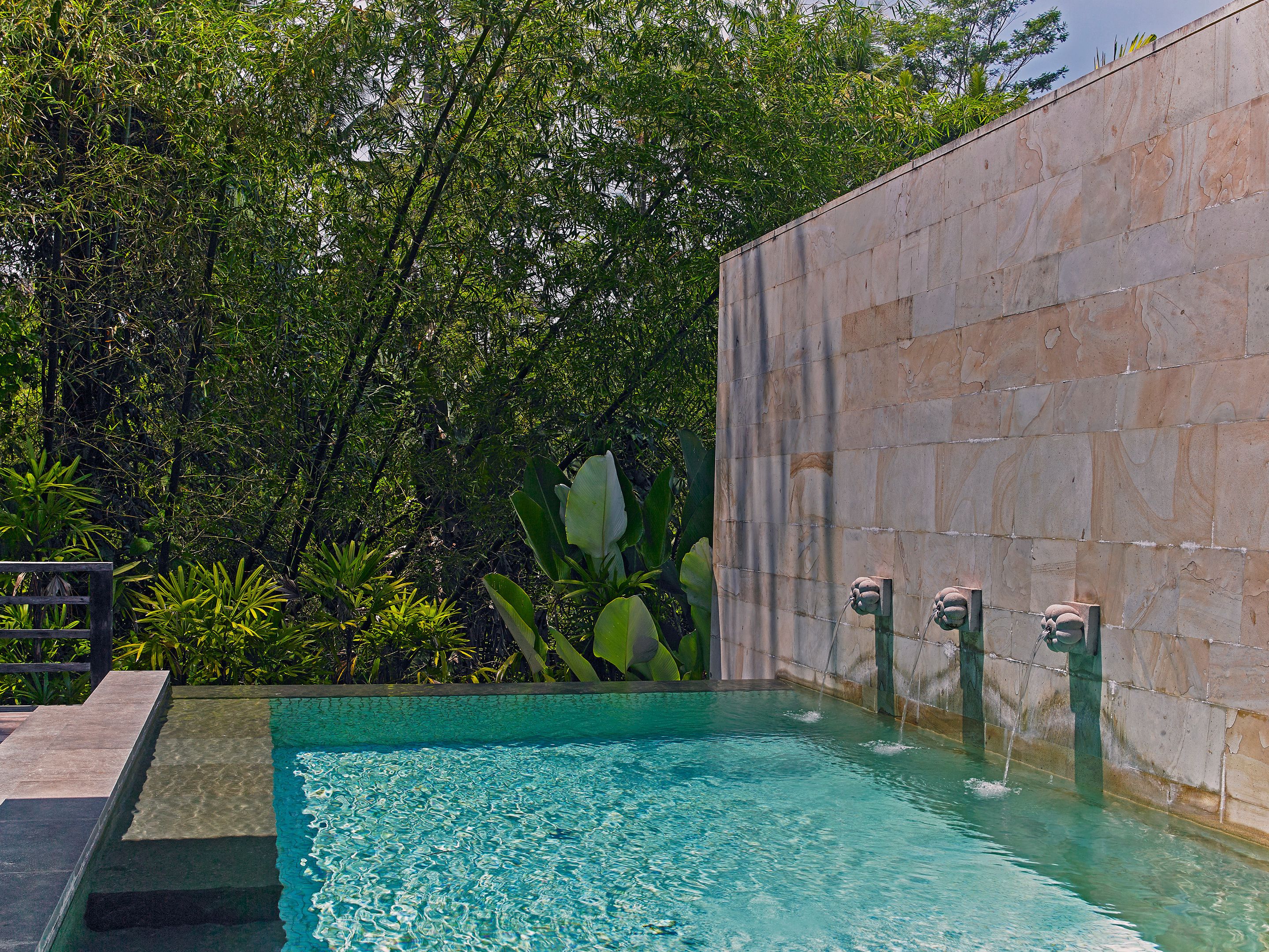 A rectangular pool with clear water, surrounded by lush greenery and a stone wall.