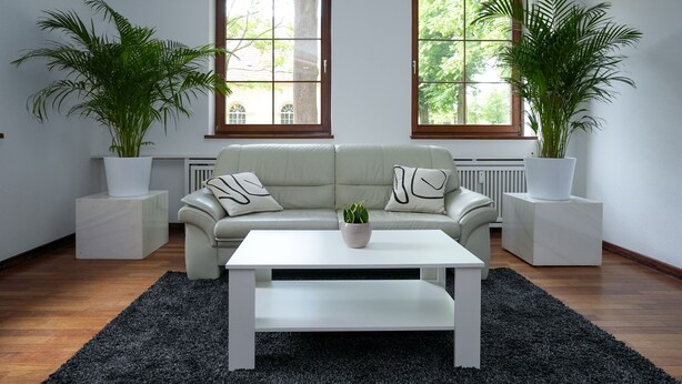 A modern living room with a sofa, a coffee table, and two potted plants. - Hotel Sophienhof (Königs Wusterhausen)