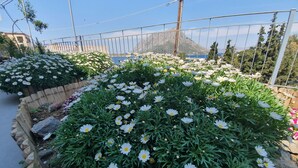 A garden with white flowers and a view of a mountain. - Panorama Studios & Apartments (Kalymnos)