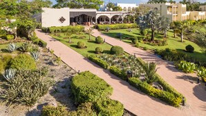 A landscaped garden with pathways leading to a building with arches and a large tree. - Hotel Riu Palace Zanzibar - All Inclusive (Nungwi)