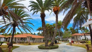 A resort with palm trees, a tiled roof, and a paved walkway. - Sunsol Punta Blanca (San Pedro)