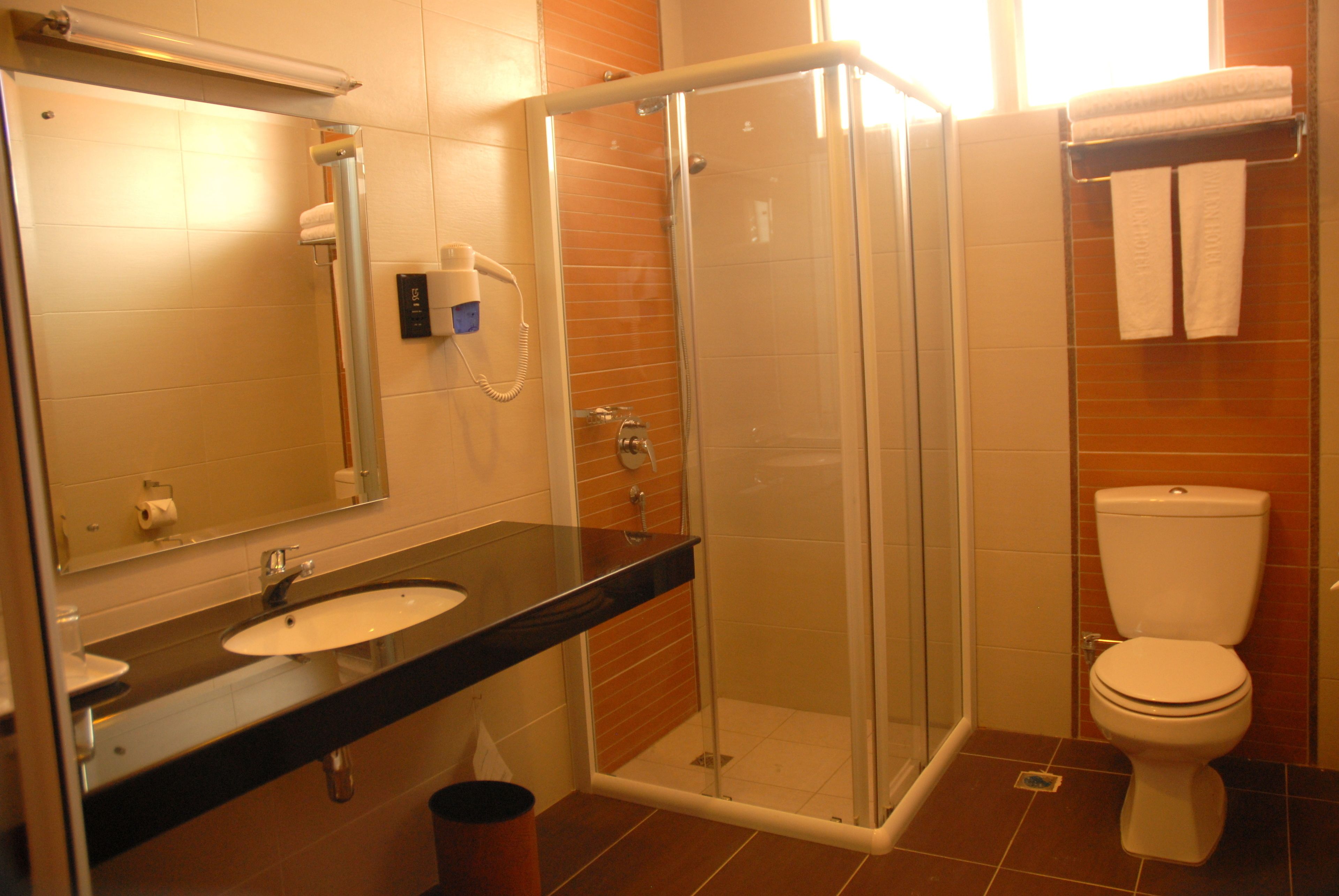 free toiletries, hair dryer, bidet, towels