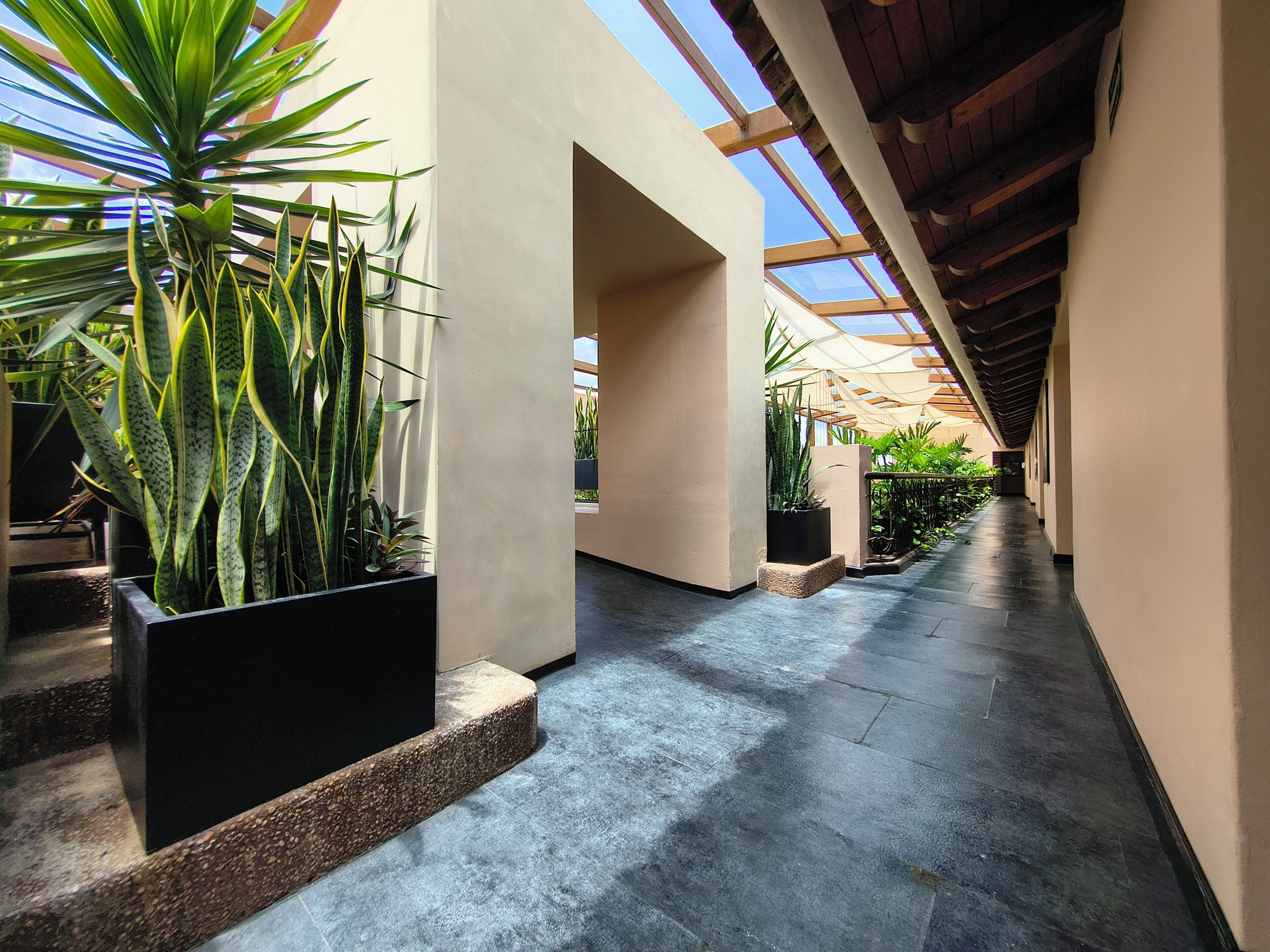 A corridor with potted plants, a tiled floor, and a skylight.