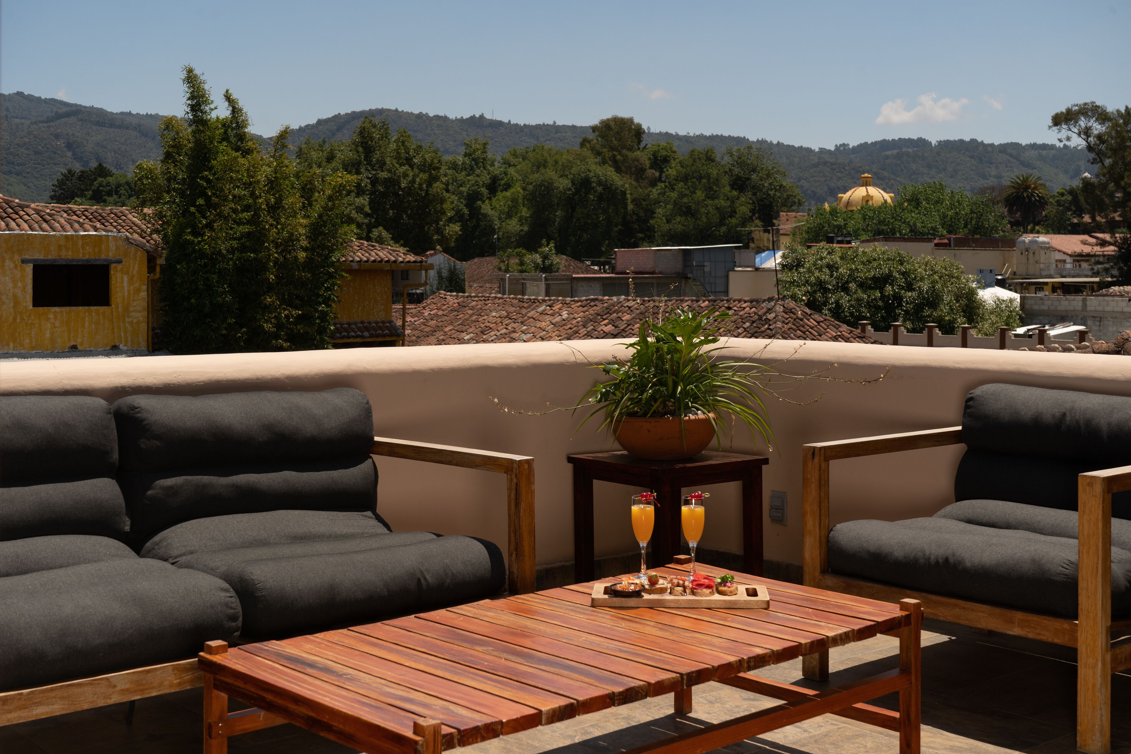 Suite junior | Terraza o patio