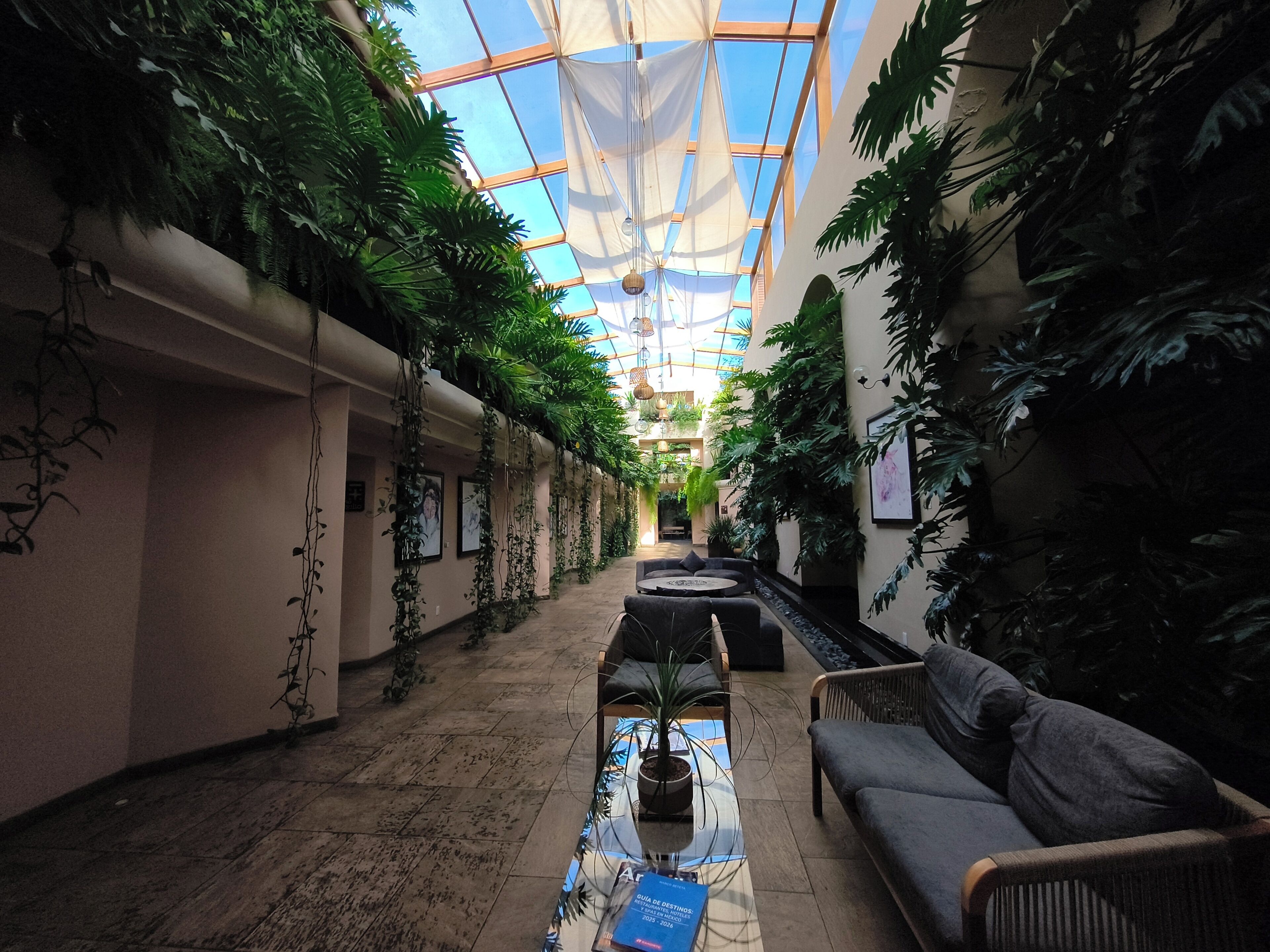 Un pasillo con techo de cristal, plantas de interior, un sofá y una mesa de centro con un libro.