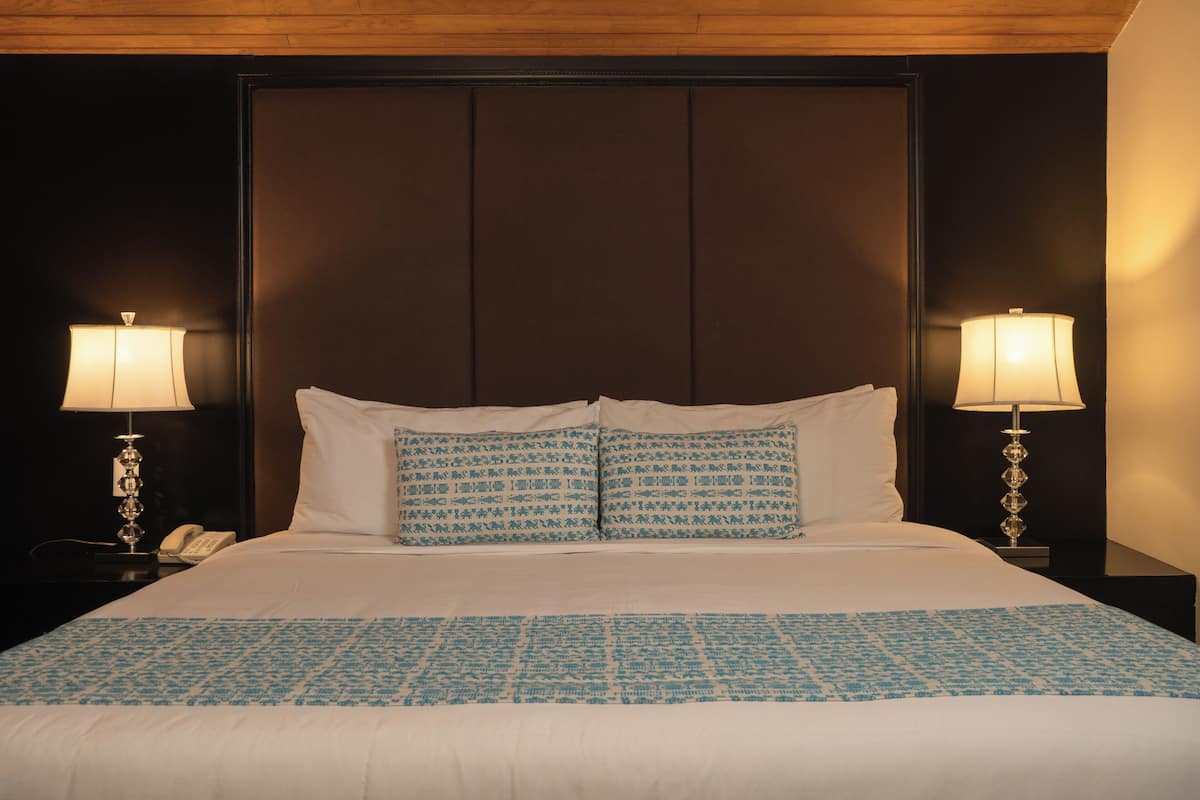 Une chambre d’hôtel avec un grand lit, deux lampes de chevet et une tête de lit sombre.