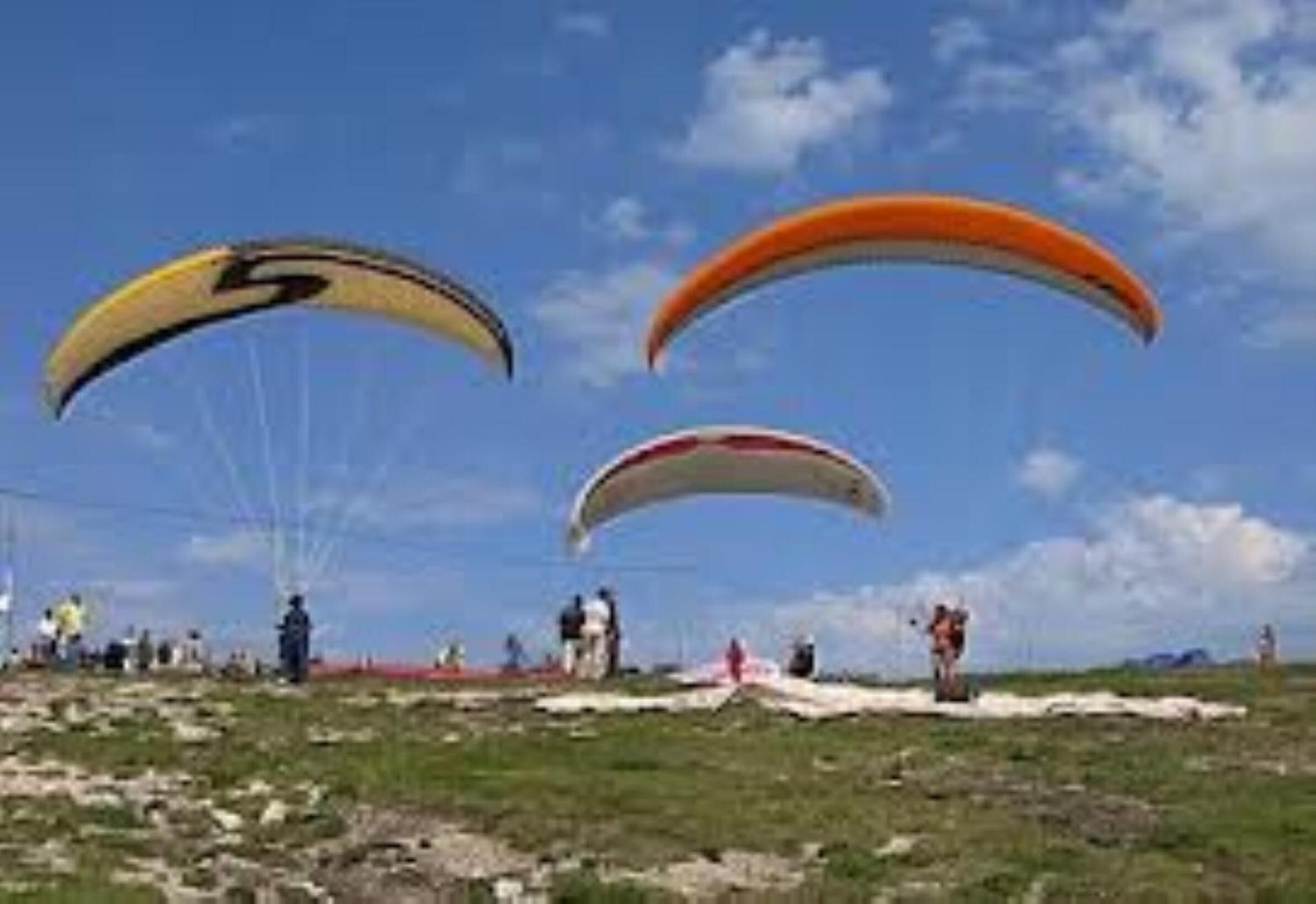 Un groupe de parapentistes sur un champ herbeux, sous un ciel dégagé.