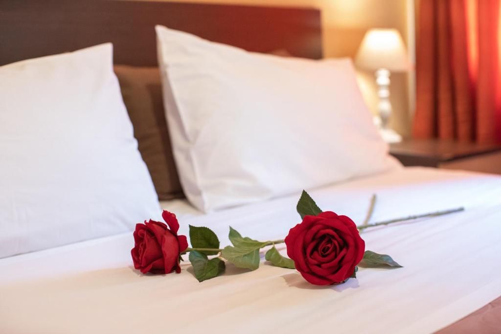 Foto - Alexandria Hotel