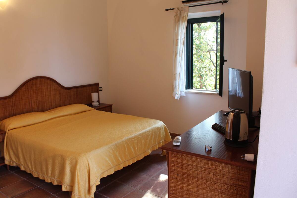 Una camera d'albergo con un letto, una scrivania con un bollitore, una televisione e una finestra con tende.
