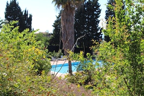 Una piscina rodeada de vegetación exuberante y árboles altos.