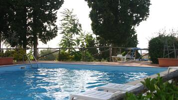 Outdoor pool, sun loungers