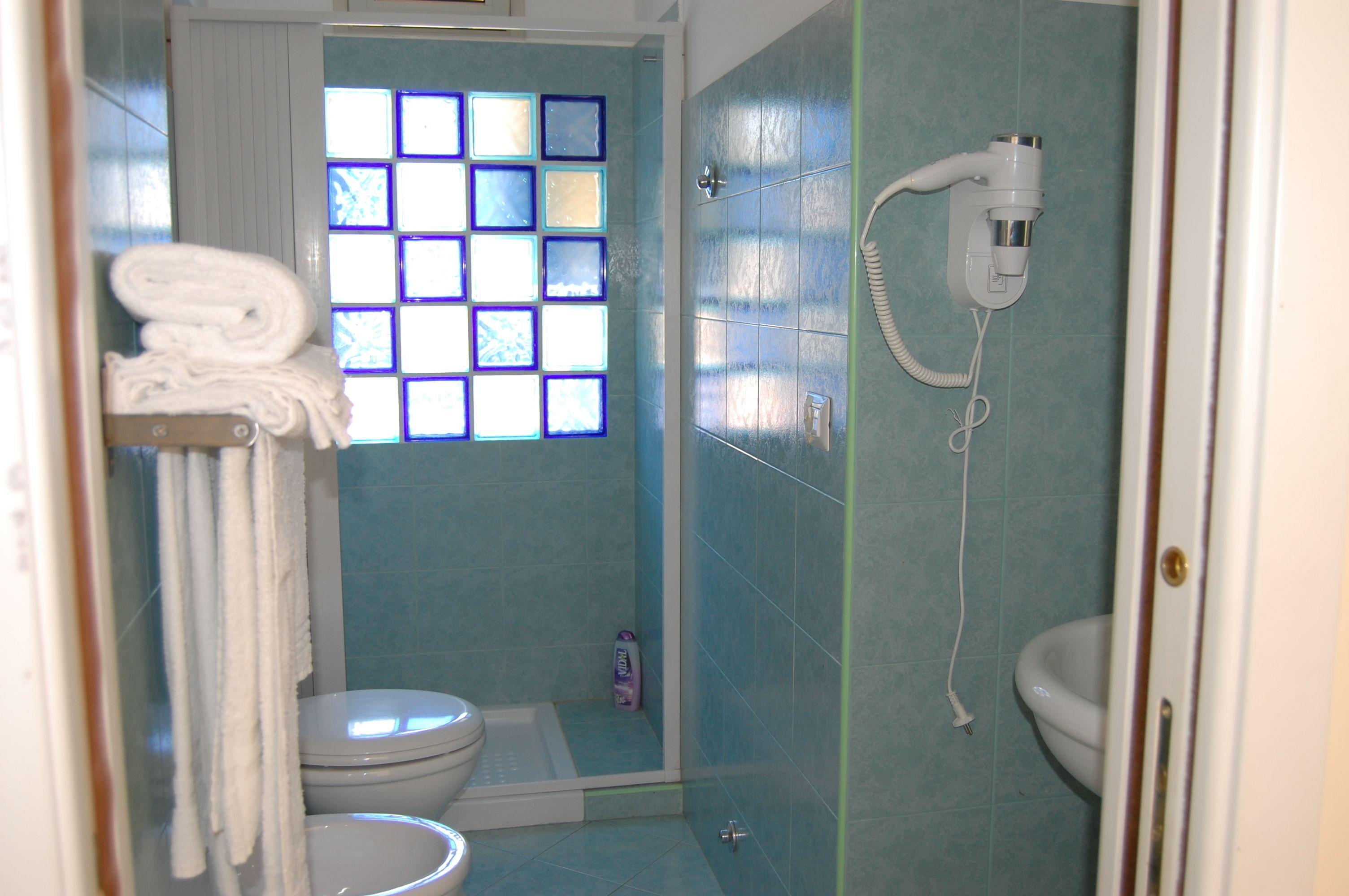 A bathroom with a shower, a toilet, and a window with blue-tinted glass.