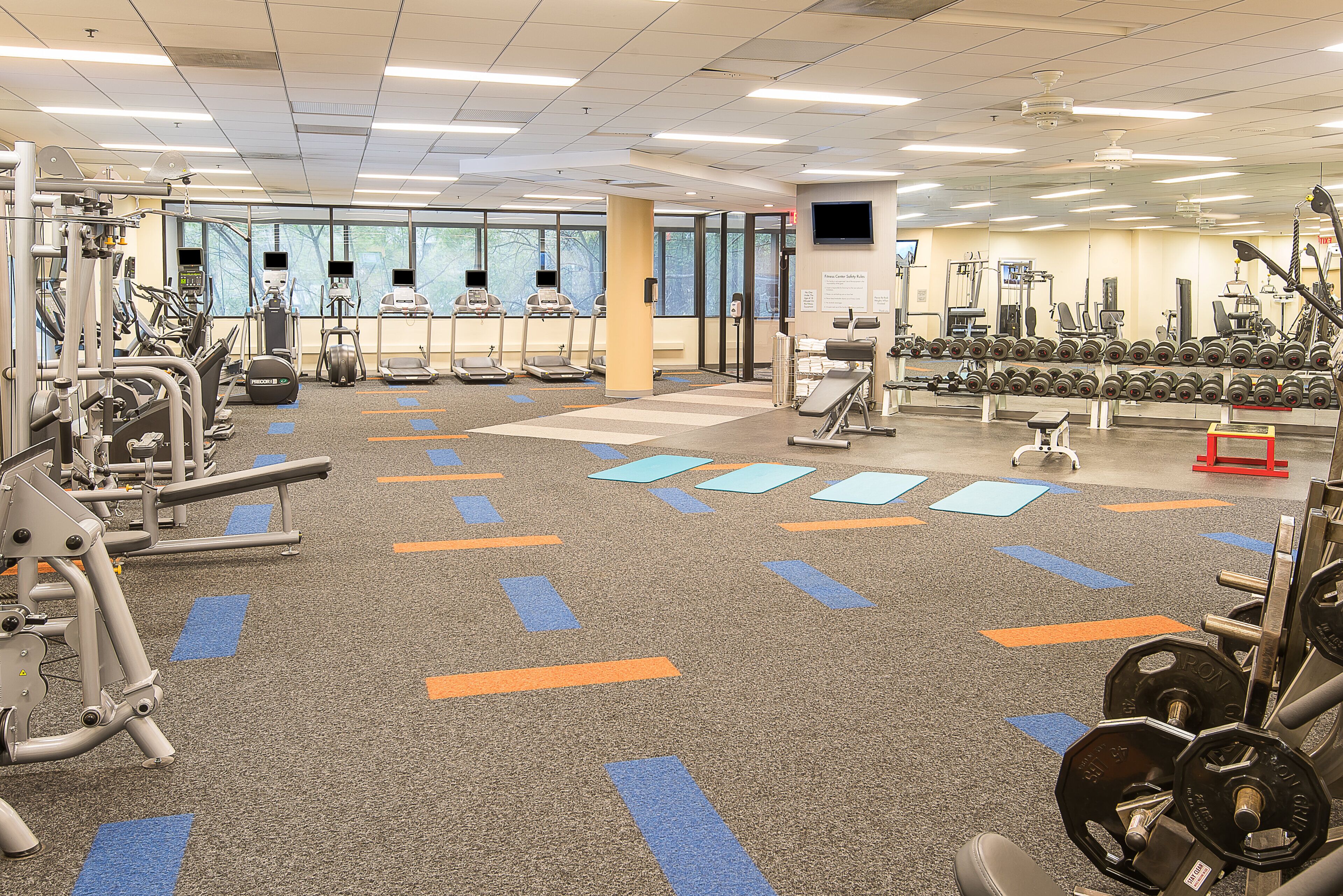 A gym with various exercise equipment, including treadmills, weight machines, and free weights.