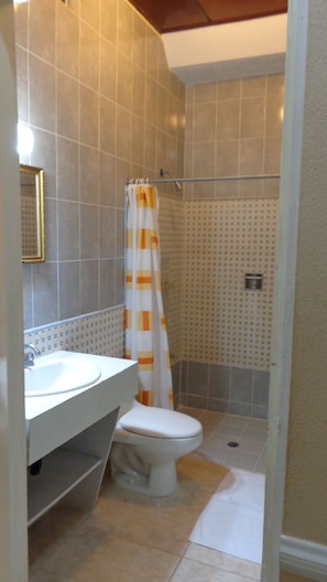 A bathroom with a toilet, sink, and shower area. - Hotel Villa Americana (Managua)