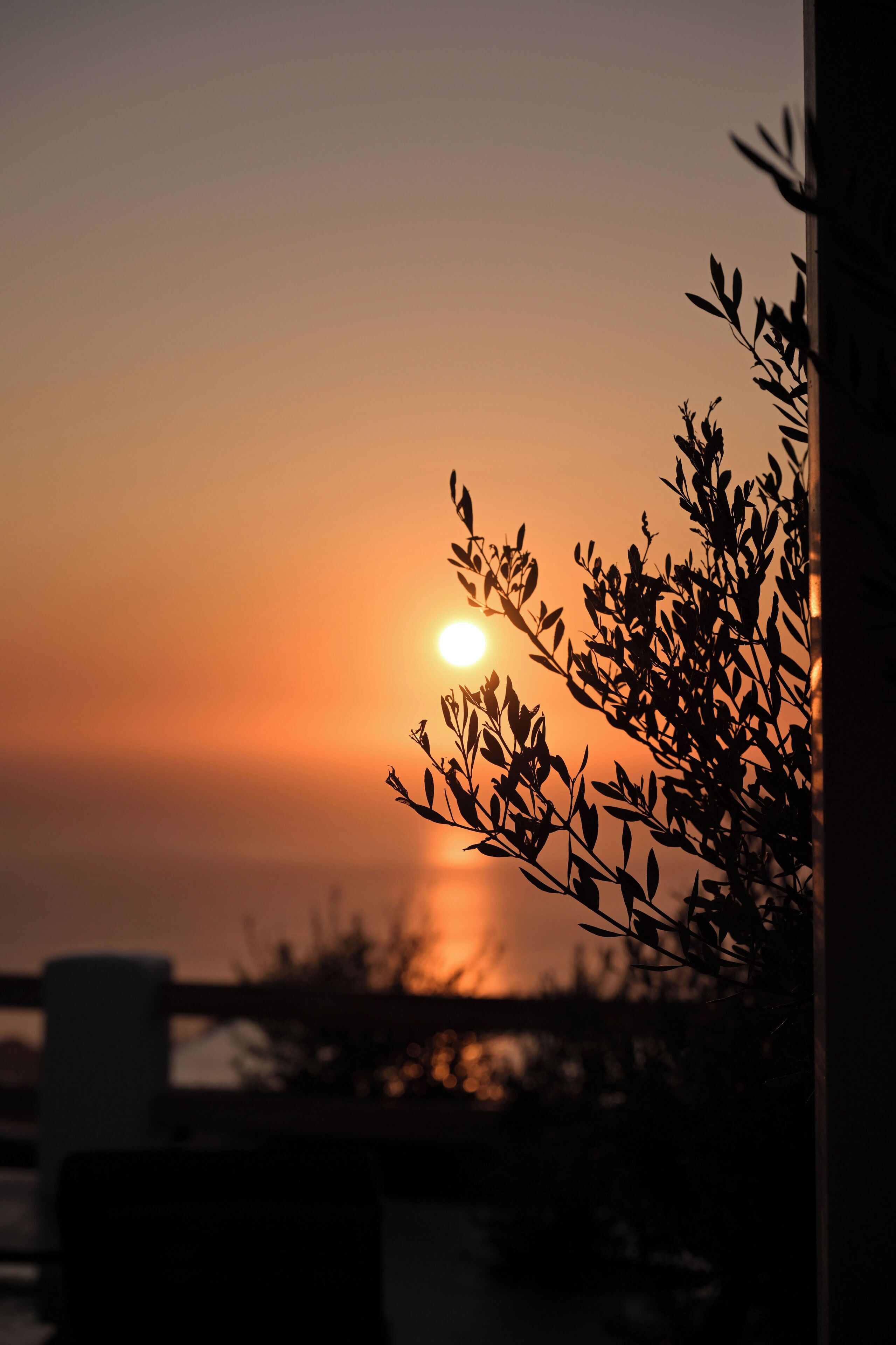 Foto - Splendour Hotel and Suites