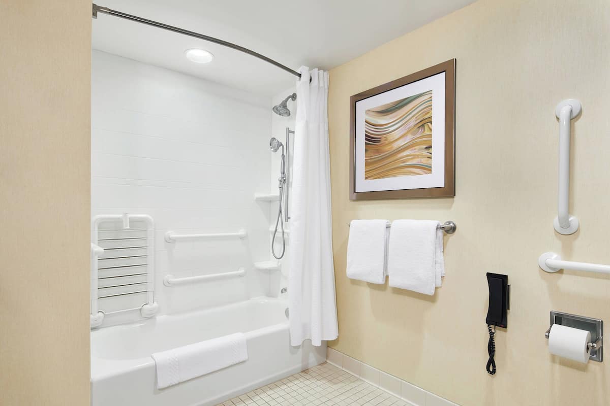 combined shower/bathtub, free toiletries, hair dryer, towels