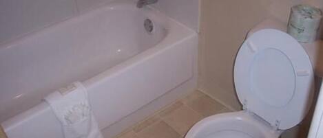 Un bagno con una vasca e un water.