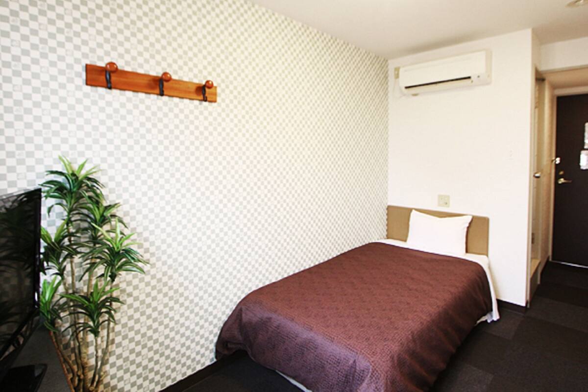 A hotel room with a bed, a plant, a TV, and an air conditioning unit.