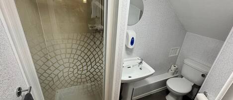 A bathroom with a glass shower enclosure, a sink, a toilet, and a mirror.