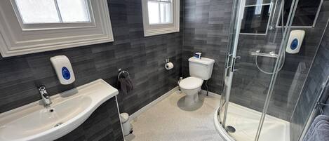 A modern bathroom with a freestanding bathtub, a toilet, and a glass-enclosed shower.