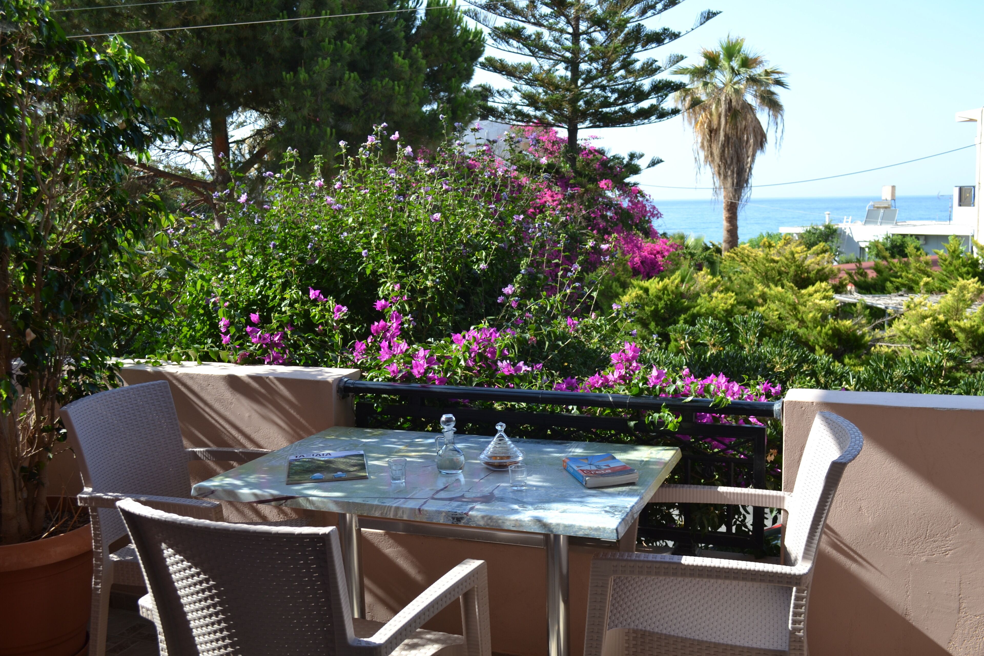 開放式客房 | 露台/庭院