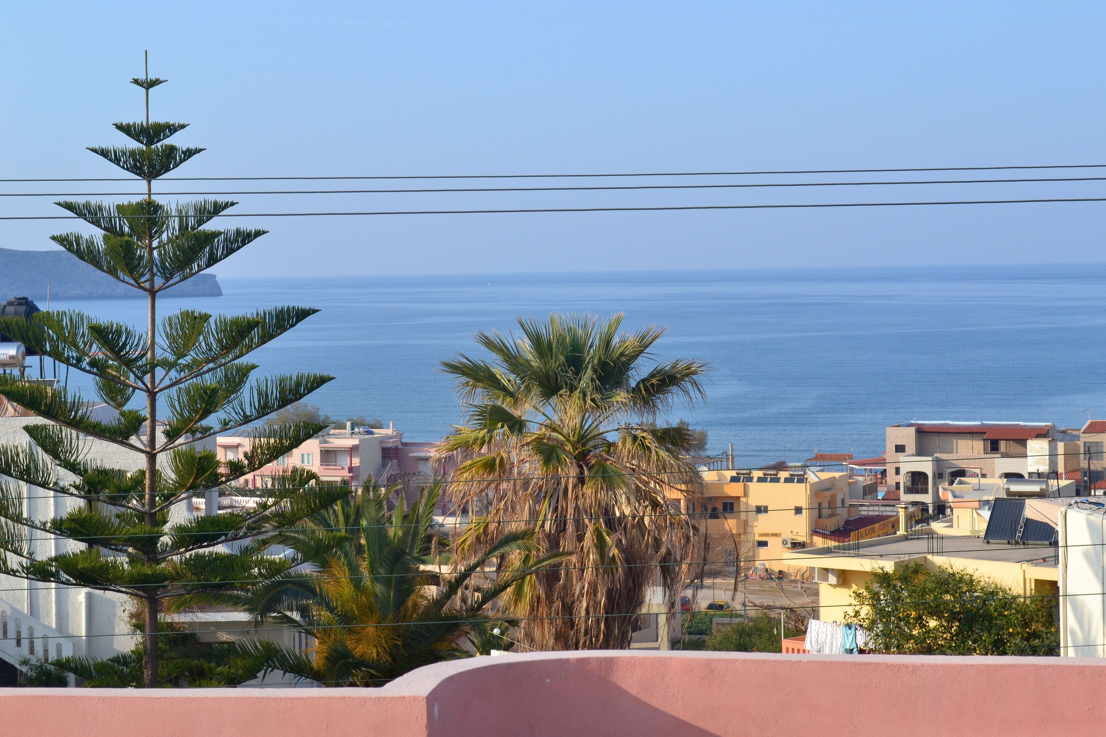 A coastal residential area with a view of the sea, featuring a prominent palm tree and a building with balconies.