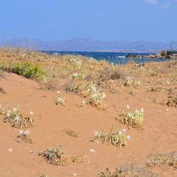 Pantai berhampiran