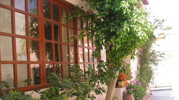 A building with large windows and a wall covered in green foliage. - Tina Economy Hotel (Chania)