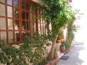 A building with large windows and a wall covered in green foliage. - Tina Economy Hotel (Chania)