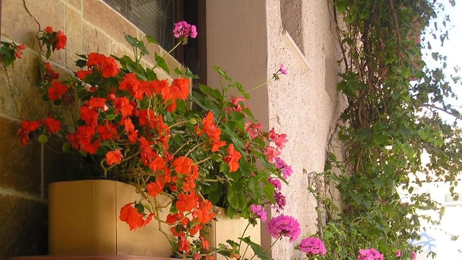 Tina Economy Hotel
