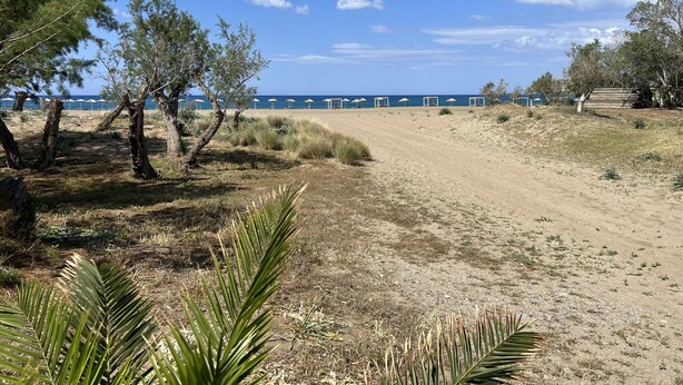 A sandy beach with sparse vegetation and a clear blue sky.