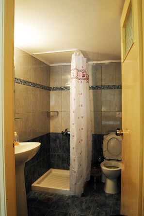 Een badkamer met douche, toilet en wastafel.
