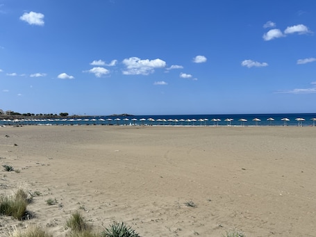 Playa