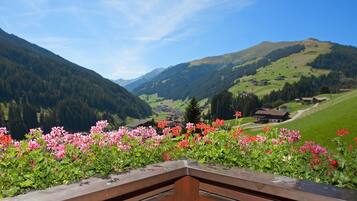 Appartement, 1 slaapkamer, balkon (Höllenstein) | Uitzicht vanaf balkon