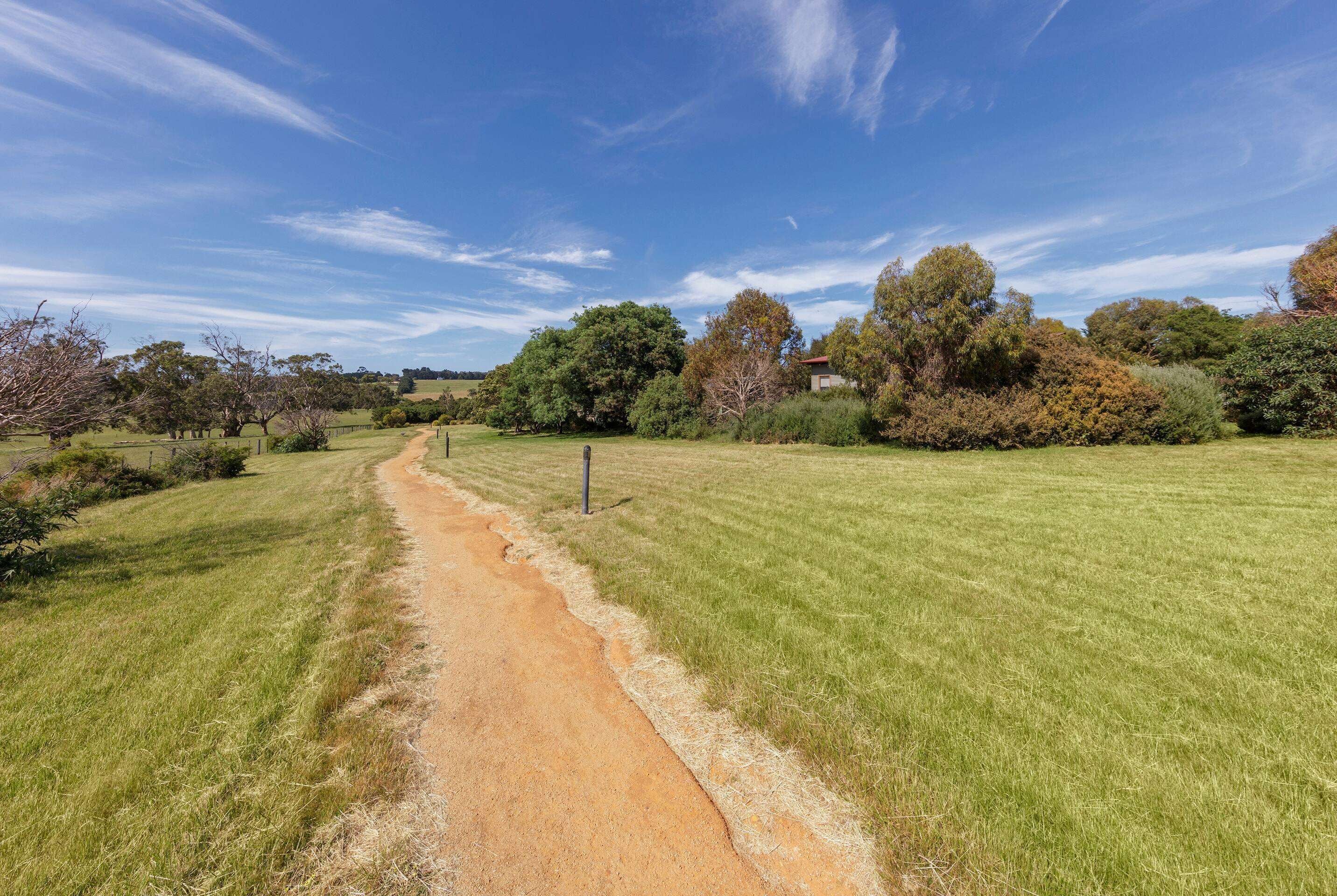A dirt path leading through a grassy field with trees and shrubs on either side.