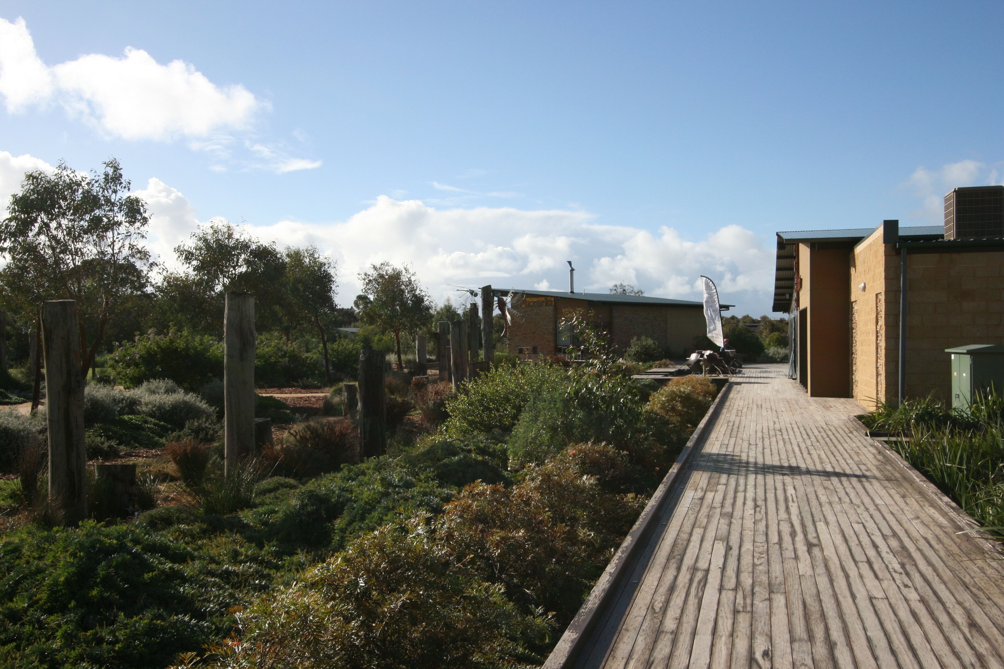 A wooden boardwalk leading through a landscaped garden with various shrubs and trees.