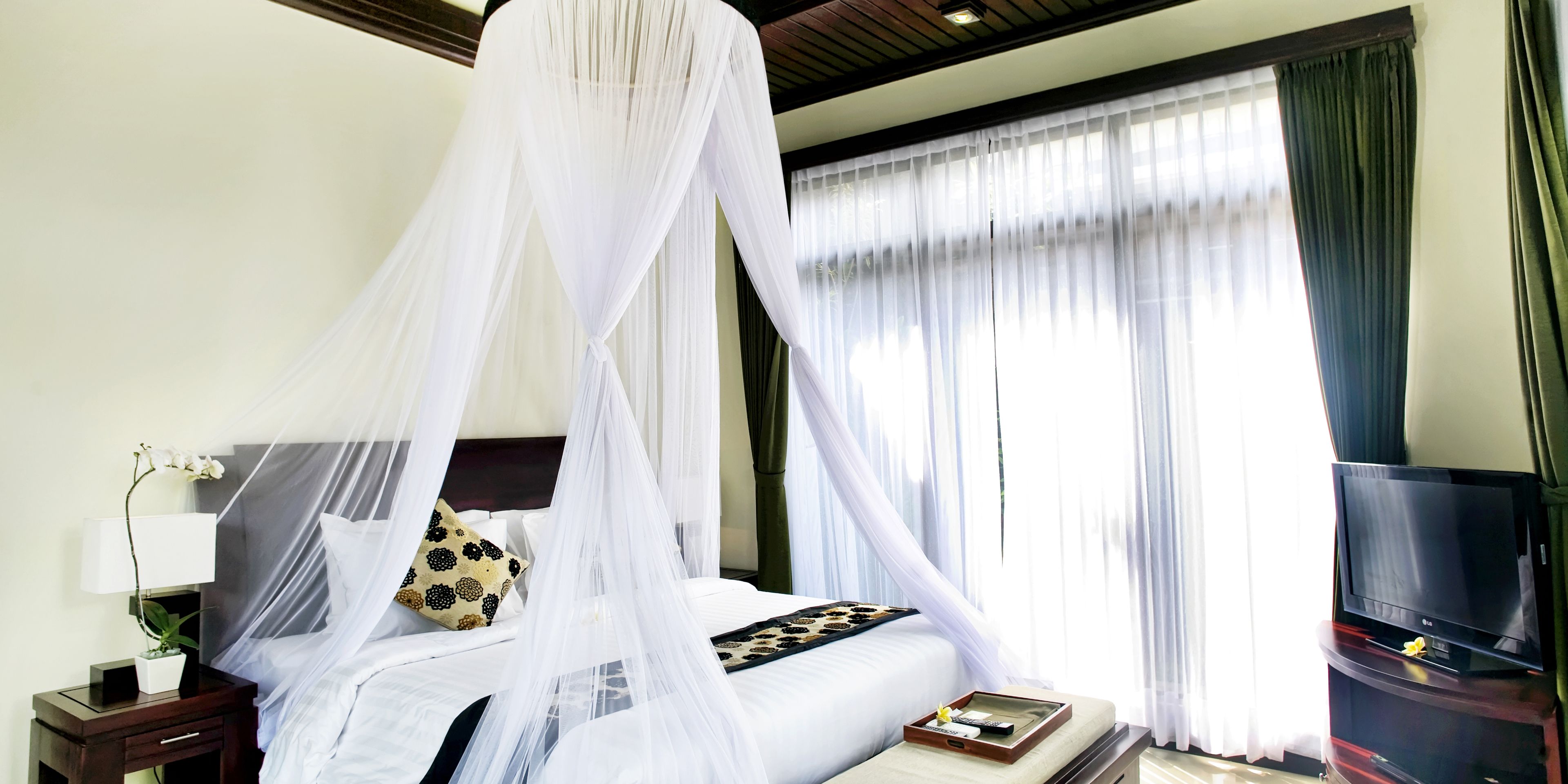 A hotel room with a bed under a white canopy, a bedside table with a lamp and a plant, a TV on a stand, and a large window with sheer curtains.