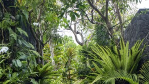 A stone pathway surrounded by lush green foliage and tropical plants. - The Bali Dream Villa Resort Echo Beach Canggu (Pererenan)