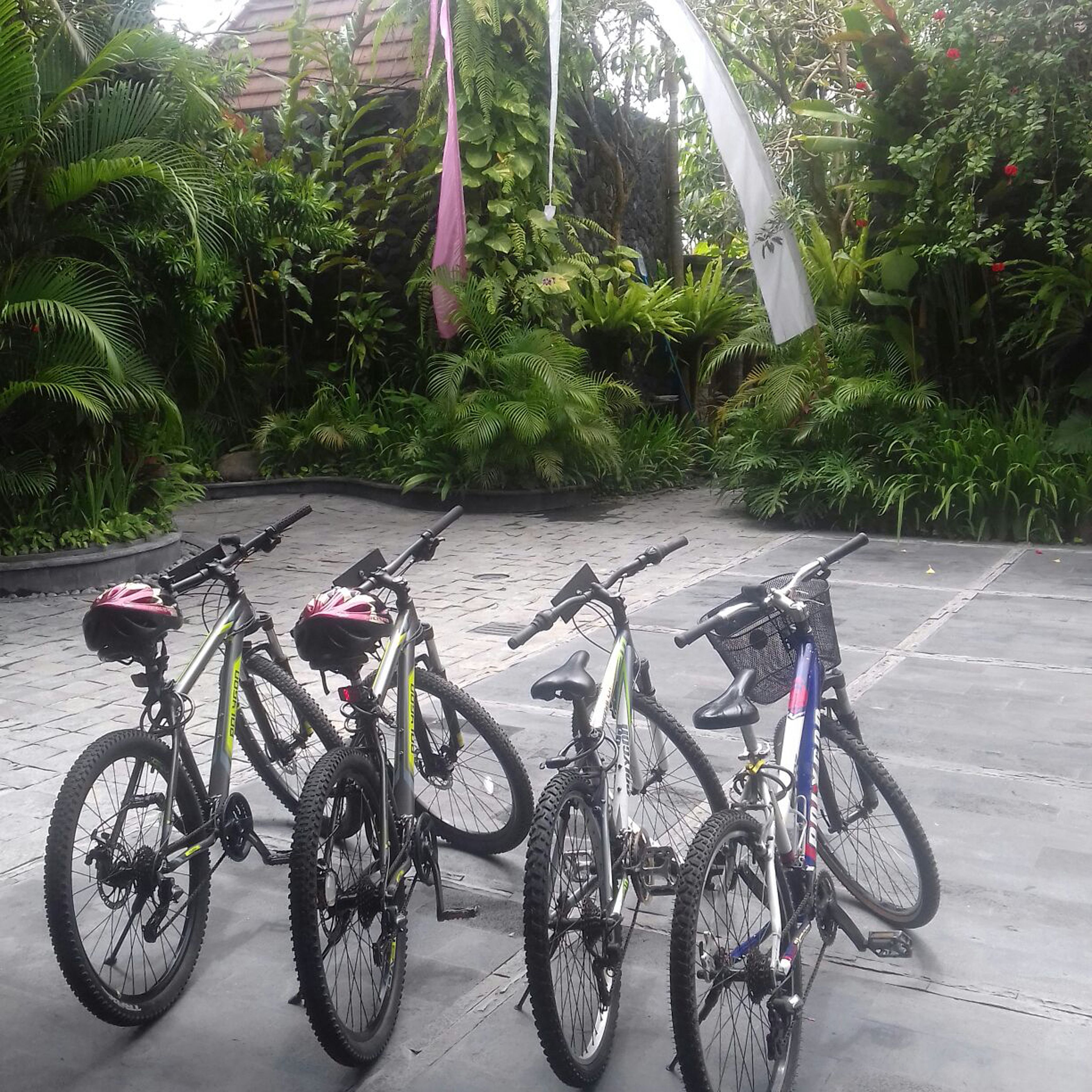Berbasikal