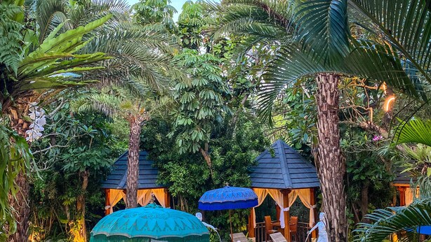 A pool area with lounge chairs and umbrellas, surrounded by lush greenery and palm trees. - The Bali Dream Villa Resort Echo Beach Canggu (Pererenan)