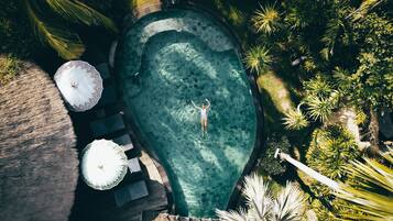An aerial view of a swimming pool surrounded by tropical plants and a wooden deck.