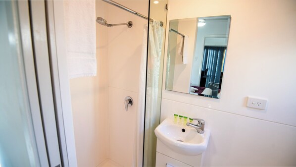 A modern bathroom with a glass shower enclosure, a white sink, and a mirror above it.